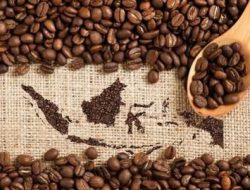 Menjelajahi Ragam Jenis Kopi Indonesia yang Mendunia
