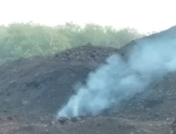 Batu Bara di Stockpile Terbakar Tanpa disulut Api, Kok Bisa?
