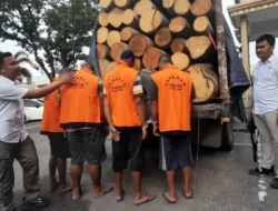 Polda Jambi amankan 4 Tersangka diduga Lakukan Illegal Logging