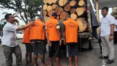 Polda Jambi amankan 4 Tersangka diduga Lakukan Illegal Logging