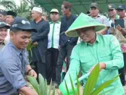 Bupati Lakukan Penanaman Sawit Perdana, Ini Semua Untuk Kesejahteraan Masyarakat Batang Hari