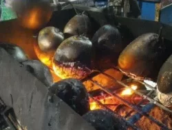 Manfaat Air Kelapa Muda Bakar untuk Kesehatan Tubuh