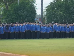 Mulai Hari Ini ! Pendaftaran CPNS Kota Jambi dibuka, Berikut Link pendaftarannya