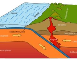 Pergerakan Lempeng Tektonik: Bagaimana Gunung Terbentuk Melalui Tabrakan Lempeng