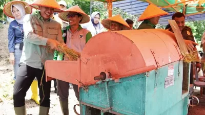 Bupati Batang Hari Hadiri Panen Raya Padi, Dorong Masyarakat Manfaatkan Peluang Usaha Pertanian