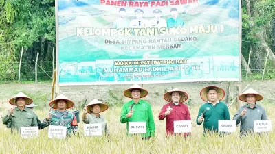 Perkuat Ketahanan Pangan, Bupati Batang Hari Hadiri Panen Raya Padi di Desa Rantau Gedang