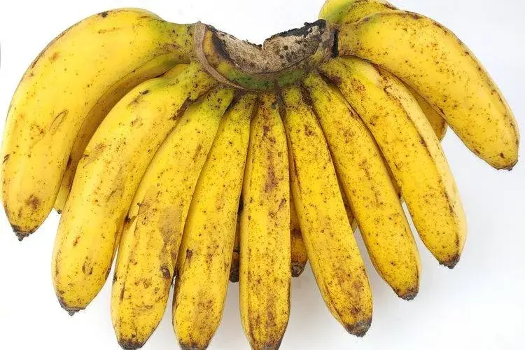 10 Jenis Dan Nama Pisang Yang Ada Di Indonesia Ada Yang Tau Dottcom id 10 Jenis Dan Nama Pisang Yang Ada Di Indonesia Ada Yang Tau Dottcom id