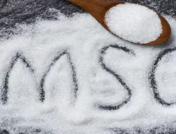 Stigma Negatif MSG (Monosodium Glutamat)