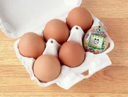 Bandai Akan Rilis Tamagotchi yang Dibuat dari Cangkah Telur Asli pada 2025