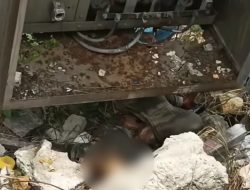 Sempat Hilang, Bocah 3 Tahun ditemukan Tewas dibawah Gardu