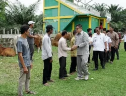Dukung Ketahanan Pangan, 15 Sapi Diserahkan ke Gapoktan Sungai Lingkar