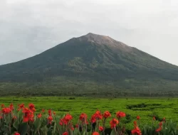 Peningkatan Aktivitas Gunung Kerinci, Erupsi Mendadak Berpotensi Terjadi
