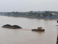 Pemprov Jambi Hentikan Sementara Angkutan Batu Bara Lewat Sungai