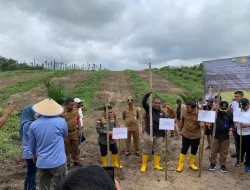Pemkab Muaro Jambi Dukung Inovasi Pertanian di Lahan Peremajaan Sawit Rakyat