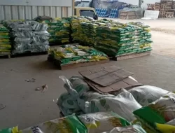 Stabilkan Harga, Beras SPHP dan Minyakita Didistribusikan Merata