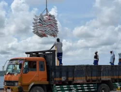 Bulog Pastikan Stok Beras 2 Juta Ton Aman hingga Idul Fitri Esok