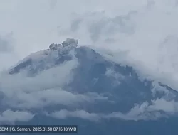 Gunung Semeru Erupsi, Kolom Abu Capai 600 Meter di Atas Puncak