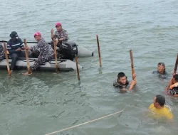 Tim Gabungan Sudah Bongkar Separuh Pagar Laut di Pesisir Tangerang