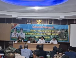 Rakor Sinkronisasi LTT Padi-Jagung, Jambi Lampaui Target Pusat
