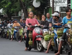 Prabowo Instruksikan Menteri ESDM Izinkan Pengecer Jual Elpiji 3 Kg Lagi