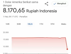 Kurs Rupiah di Google Bikin Kaget, Asli apa Eror?