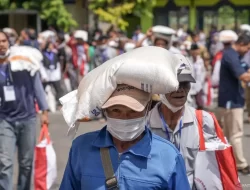 Bapanas Hentikan Sementara Bansos Beras, Ini Alasannya