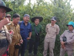 Komisi II DPRD Batanghari Tinjau Tapal Batas Lahan Masyarakat di Desa Kuap