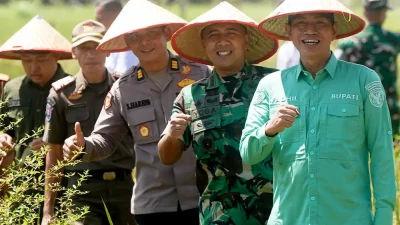 Batang Hari Komitmen Dukung Swasembada Pangan, Bupati dan Dandim Tanam Padi Serentak