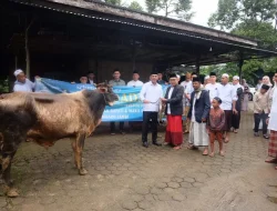 Wakil Bupati Muaro Jambi Tunaikan Sholat Idul Adha dan Serahkan Hewan Qurban