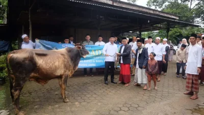 Wakil Bupati Muaro Jambi Tunaikan Sholat Idul Adha dan Serahkan Hewan Qurban