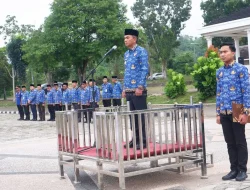 Wakil Bupati Muaro Jambi Pimpin Upacara HKN dan Hari Koperasi ke-78