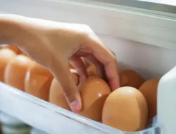 Tips Menyimpan Telur Agar Tahan Lama dan Tetap Segar, Simak Anjuran FDA!