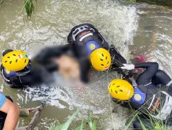 Pencarian Dramatis Aisyah Berakhir Duka, Ditemukan 5 Kilometer dari Lokasi Awal