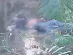 Mayat Pria Lansia Ditemukan Mengapung di Tungkal Ilir
