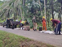 Ramadan, Infrastruktur Jalan Batang Hari Digenjot Lebih Cepat