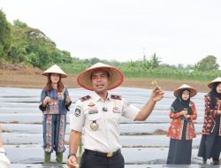 Lahan 7.000 Meter Disulap Jadi Kebun Produktif Imigrasi