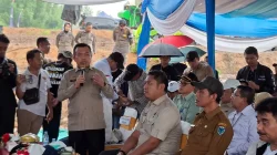 Jambi Gaspol! Tanam Padi Dikebut, Target Swasembada Dikejar