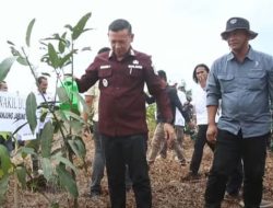 Aksi Tanam Pohon Tanjabtim, Wabup Tekankan Warisan Lingkungan