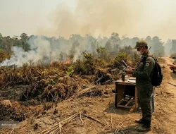 BMKG Deteksi 13 Titik Panas di Jambi, Warga Diminta Waspada