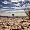 Antisipasi El Nino Ekstrem, BPBD Tanjabtim Siaga Hadapi Ancaman Karhutla dan Kekeringan