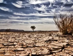 Antisipasi El Nino Ekstrem, BPBD Tanjabtim Siaga Hadapi Ancaman Karhutla dan Kekeringan