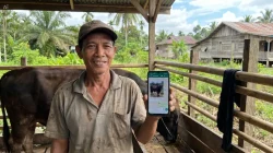 Disbunak Tanjabtim Luncurkan Grup Sapi Online Jelang Idul Adha