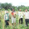 DPRD Kota Jambi dan HKTI Dukung Pengembangan Pertanian Jagung di Jambi