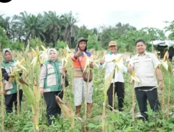 DPRD Kota Jambi dan HKTI Dukung Pengembangan Pertanian Jagung di Jambi