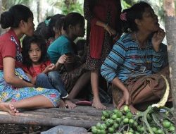 Orang Rimba Protes, Ruang Hidup Mereka Dikepung Tambang Batu Bara