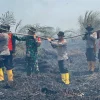 Karhutla Sungai Gelam Capai 50 Hektare, Polisi Mulai Penyelidikan
