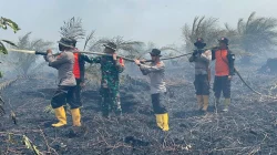 Karhutla Sungai Gelam Capai 50 Hektare, Polisi Mulai Penyelidikan