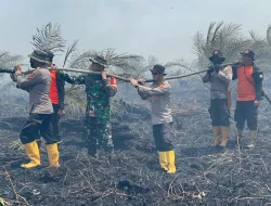 Karhutla Sungai Gelam Capai 50 Hektare, Polisi Mulai Penyelidikan