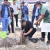 Telago Kajang Lako Makin Hijau, Tabebuya dan Tanjung Ditanam