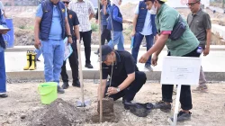 Telago Kajang Lako Makin Hijau, Tabebuya dan Tanjung Ditanam